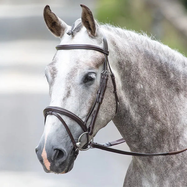 Bridleway Melton Padded Raised Flash Bridle - Havana