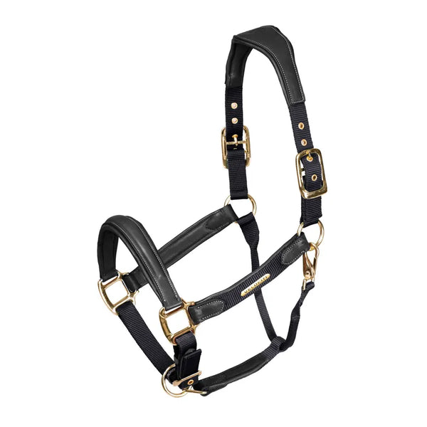 Velociti Lusso Padded Leather Headcollar - Black