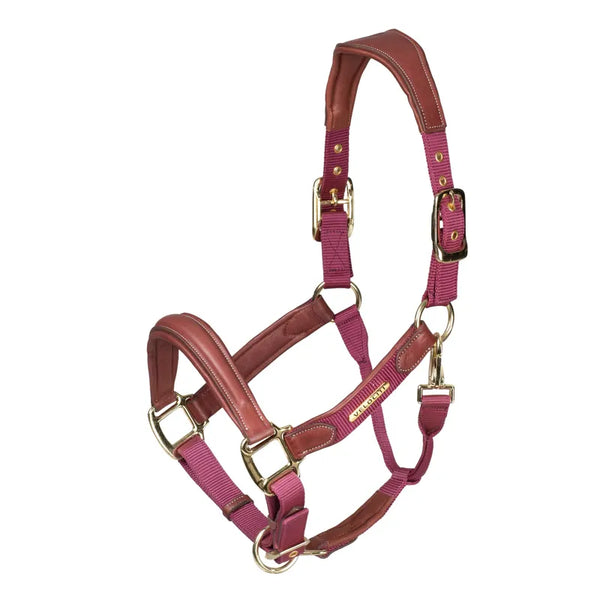 Velociti Lusso Padded Leather Headcollar - Burgundy