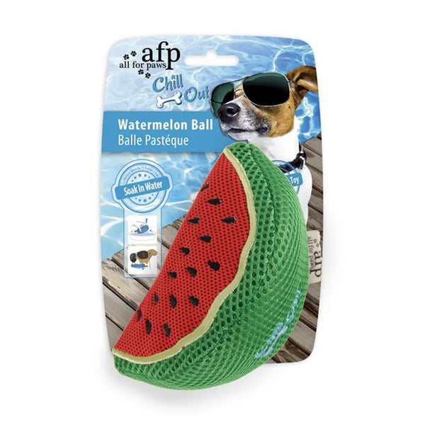 All For Paws Chill Out Watermelon Slice