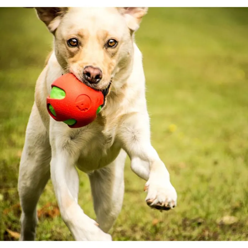 Petface Crinkle Ball-1