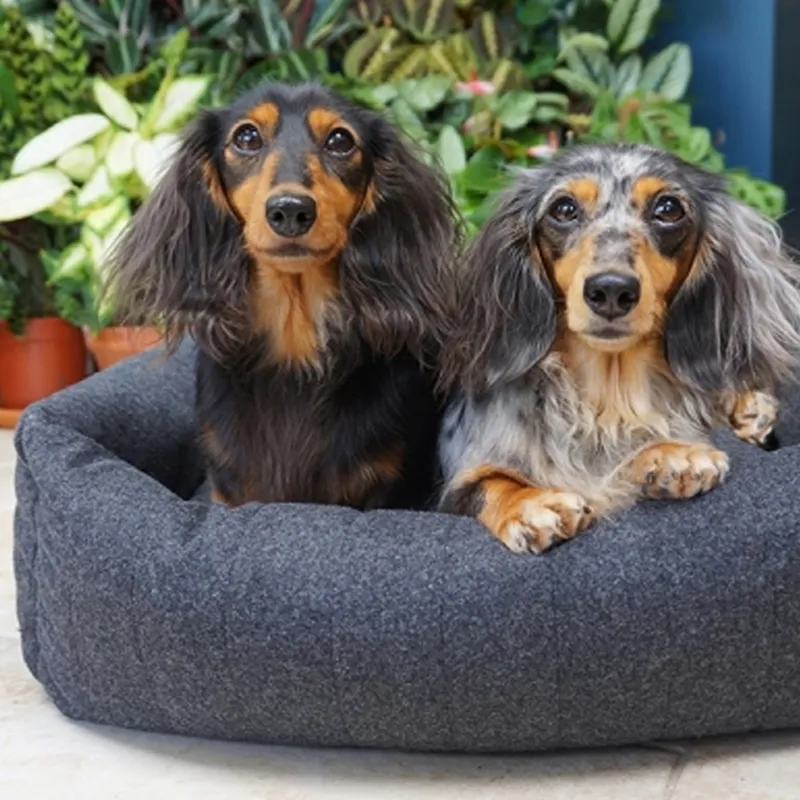 Rosewood Cosy Dog Support Square - Grey-4