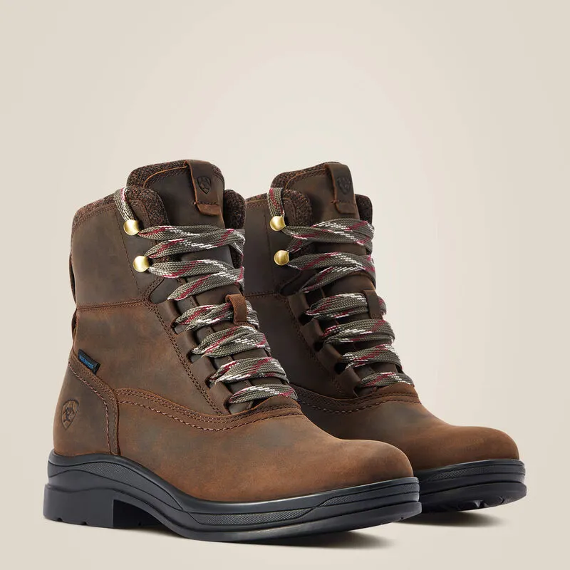 Ariat sales windermere chocolate