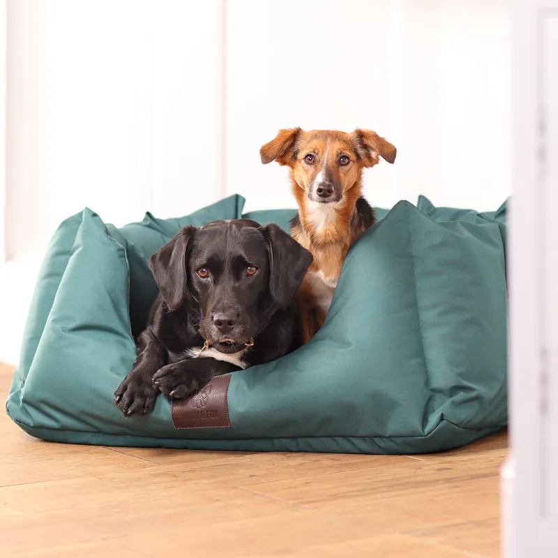 Digby and Fox Nest Dog Bed - Green-4