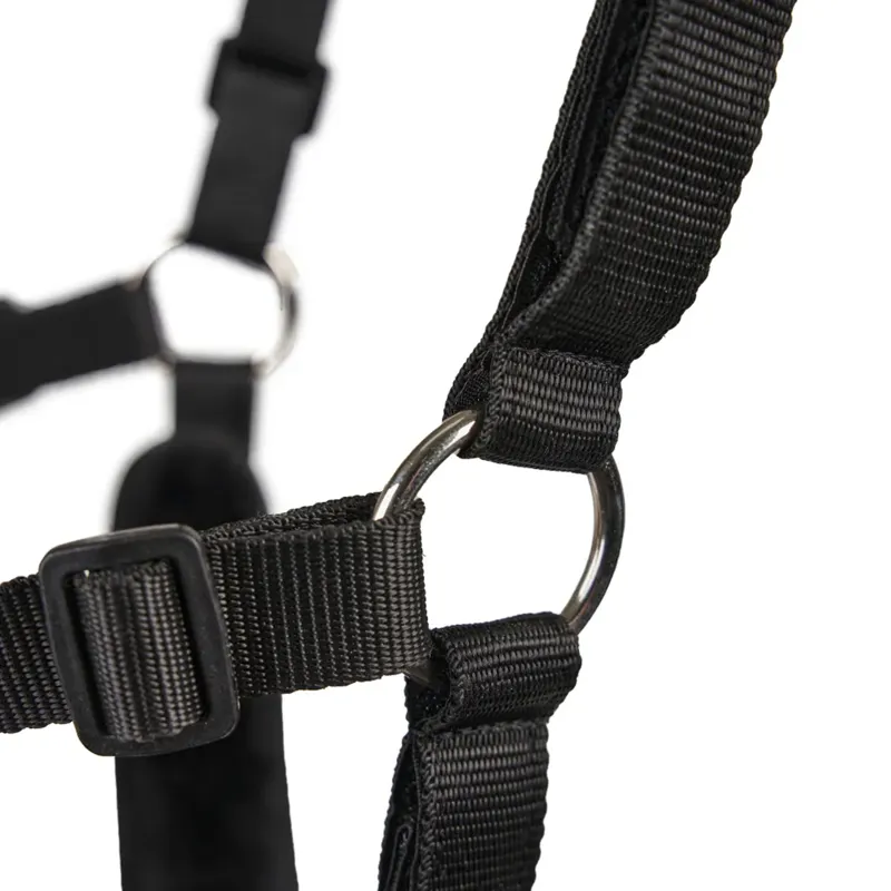 FreeGraze AirFlow Grazing Muzzle Padded - Black-7