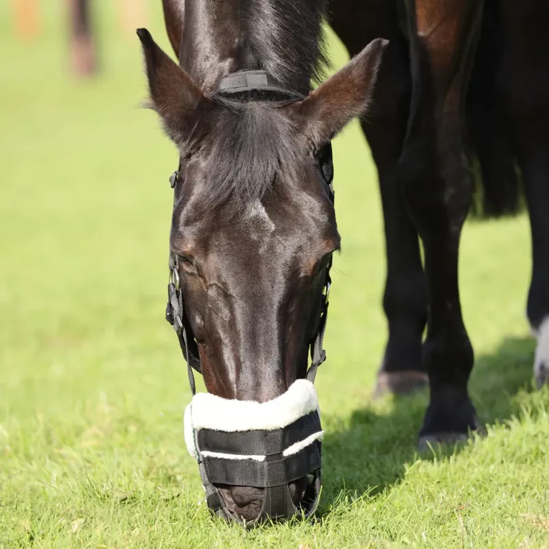 FreeGraze AirFlow Grazing Muzzle Padded - Black-1