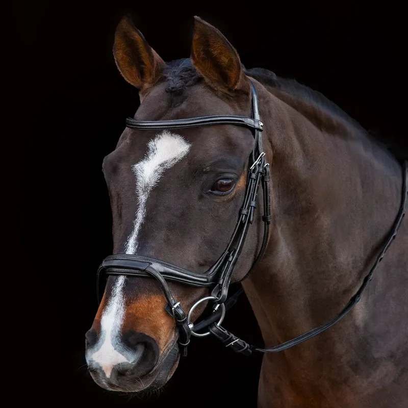 Schockemohle Ancona Select Bridle - Black-2