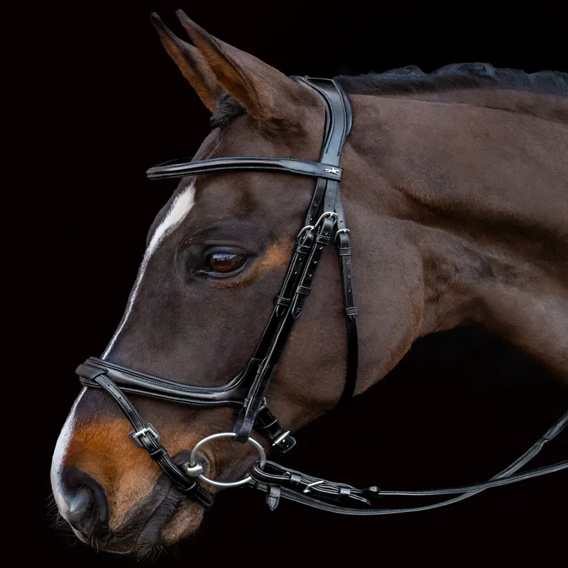 Schockemohle Ancona Select Bridle - Black-1