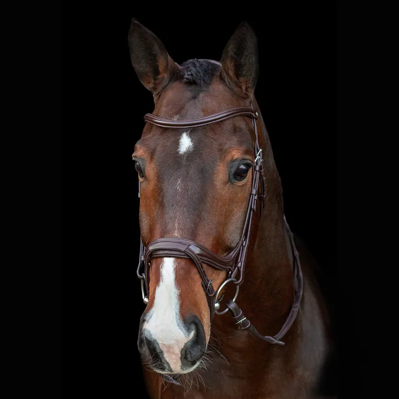 Schockemohle Ancona Select Bridle - Espresso-3