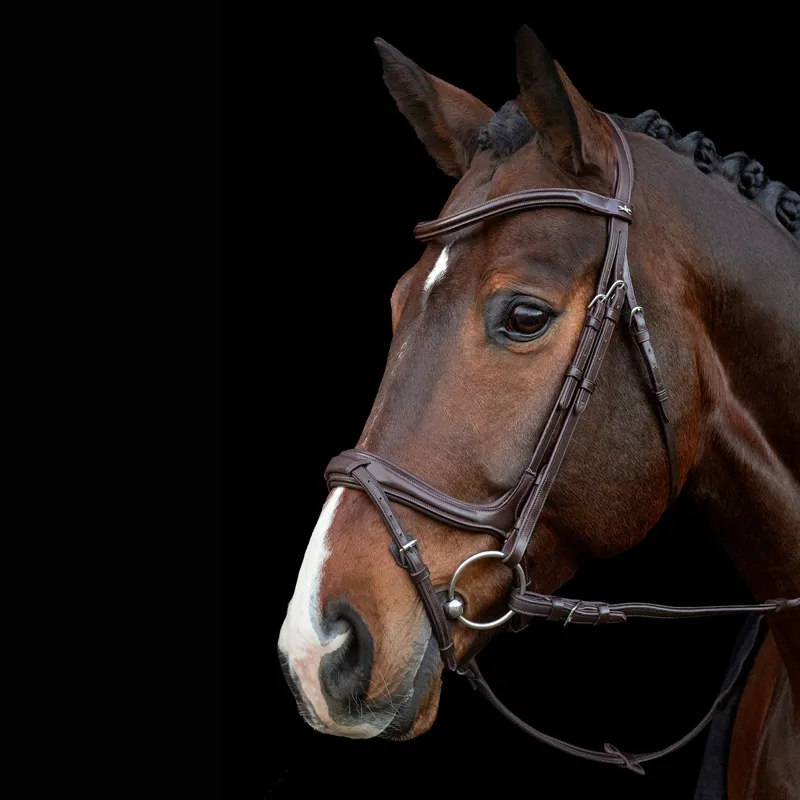 Schockemohle Ancona Select Bridle - Espresso-1