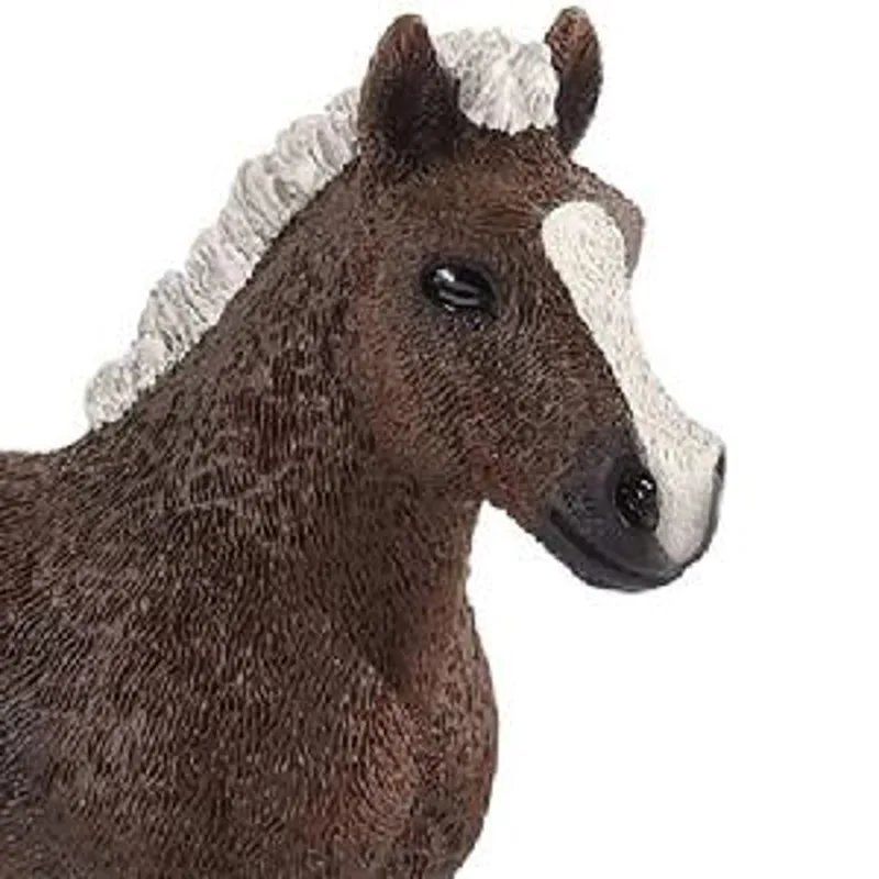 Schleich Black Forest Foal -1