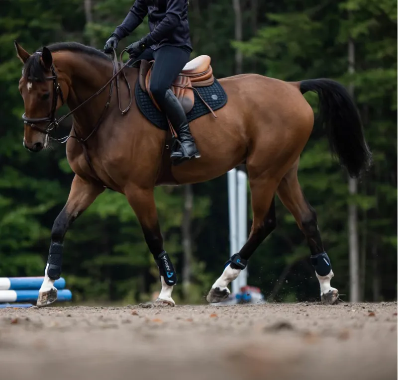 ARMA Carbon Flex Tendon Boots - Black-1