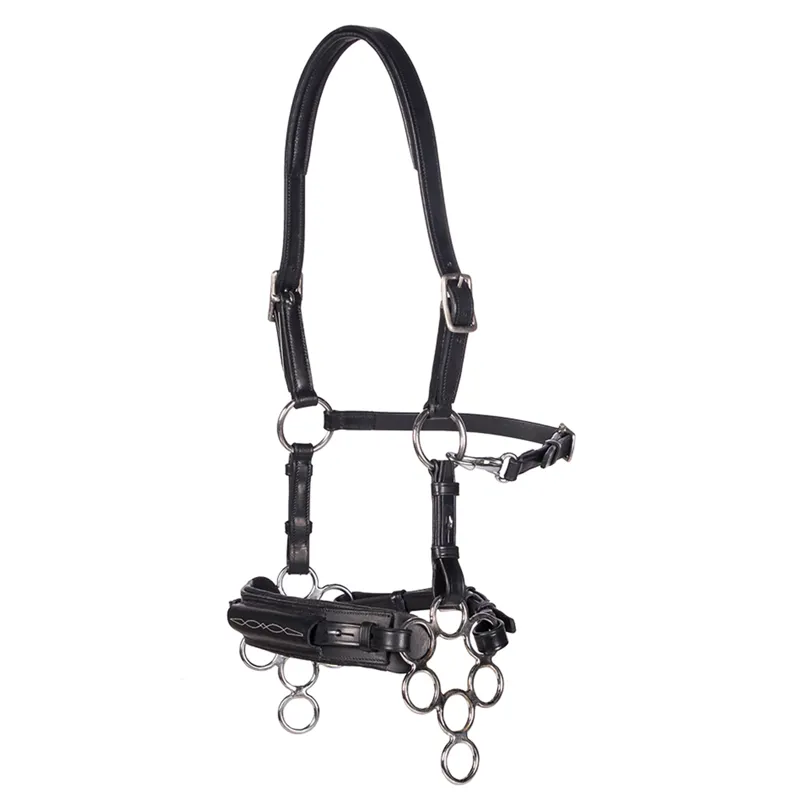 F.R.A Aram Hackamore Bridle - Black