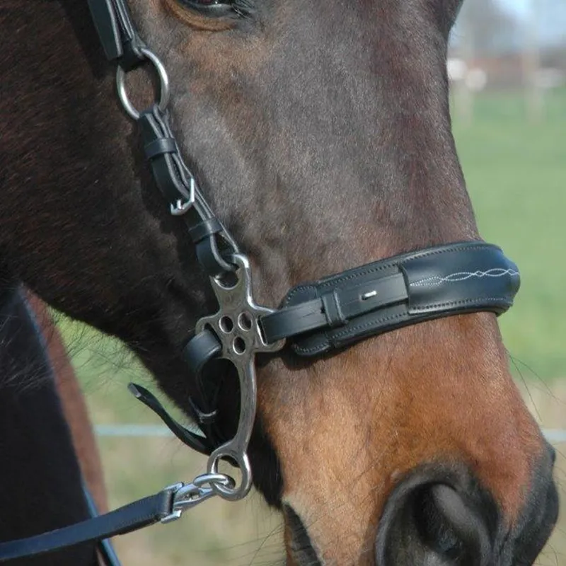 F.R.A Aram Hackamore Bridle - Black-1