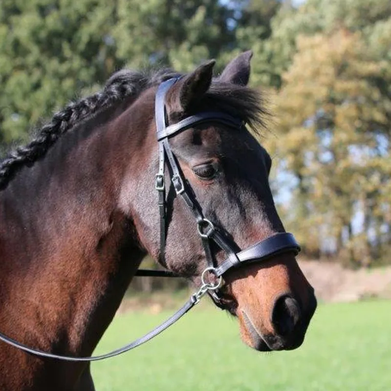 F.R.A Aruba Sidepull Bridle - Black-1