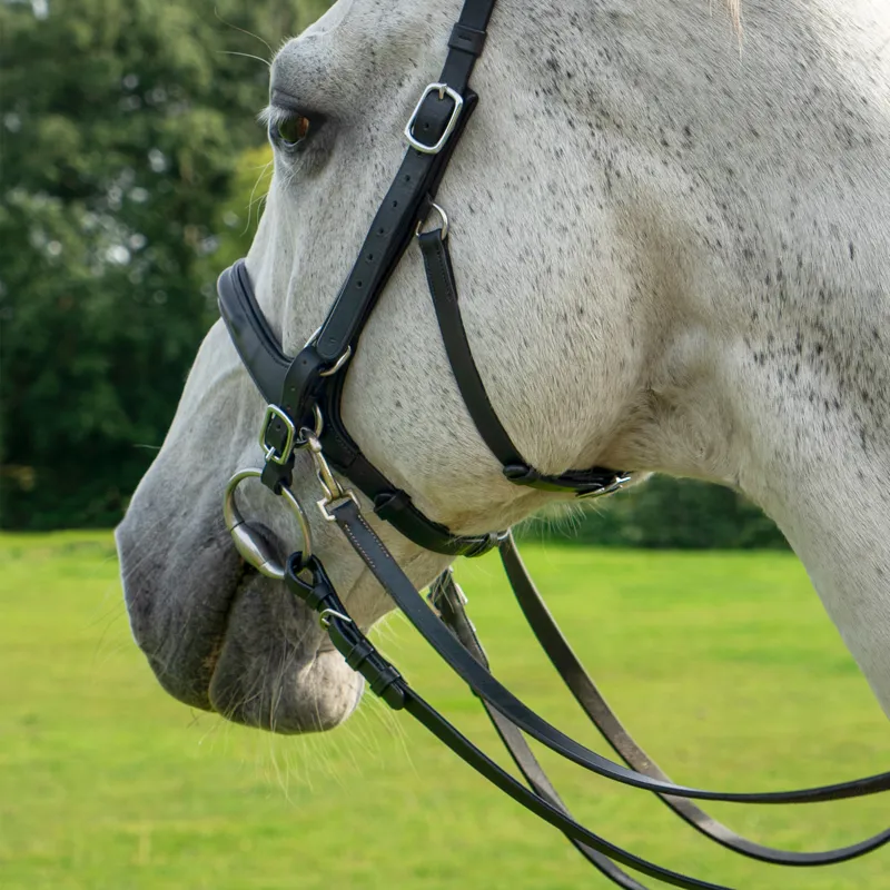 F.R.A Runa Combi Bridle - Black-3