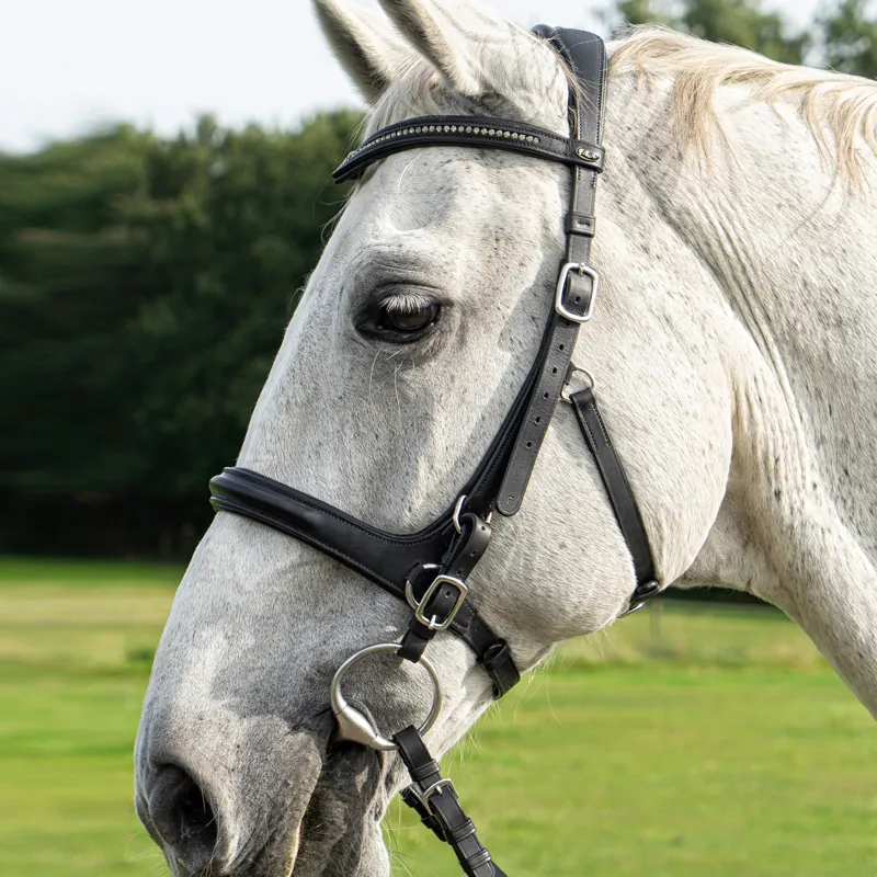 F.R.A Runa Combi Bridle - Black-4