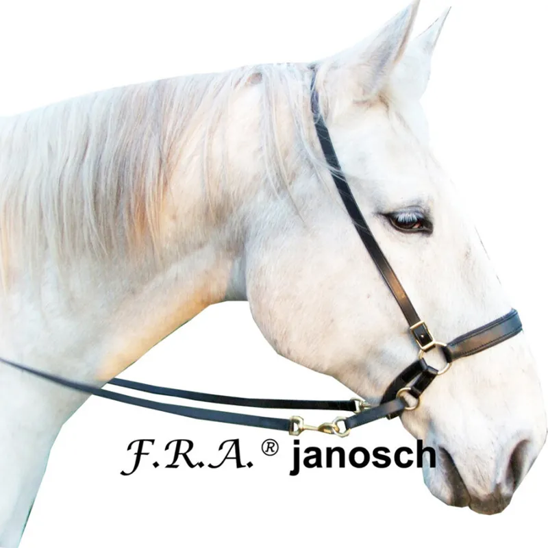 F.R.A Janosch Bitless Bridle - Black-1