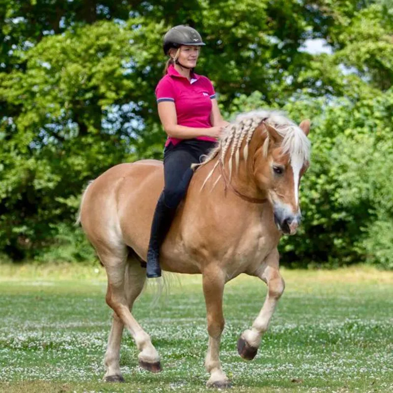 F.R.A Chiron NH Balance Reins-1