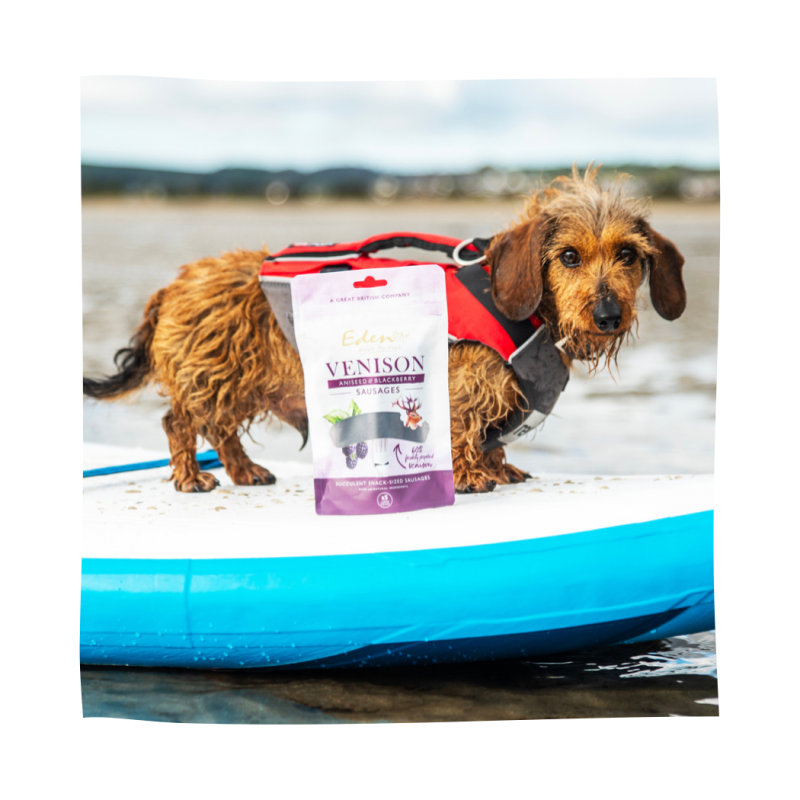 Eden Pet Foods Gourmet Sausages - Venison-1