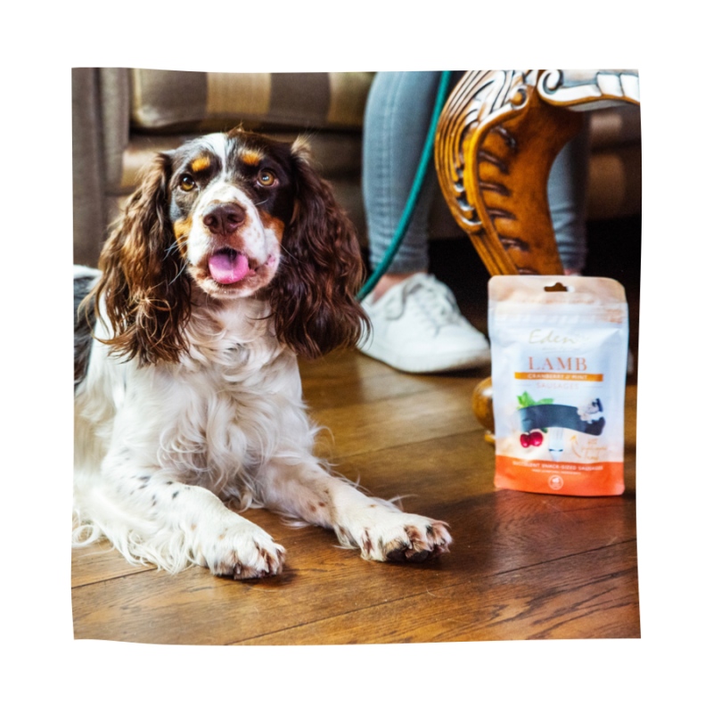 Eden Pet Foods Gourmet Sausages - Lamb-1