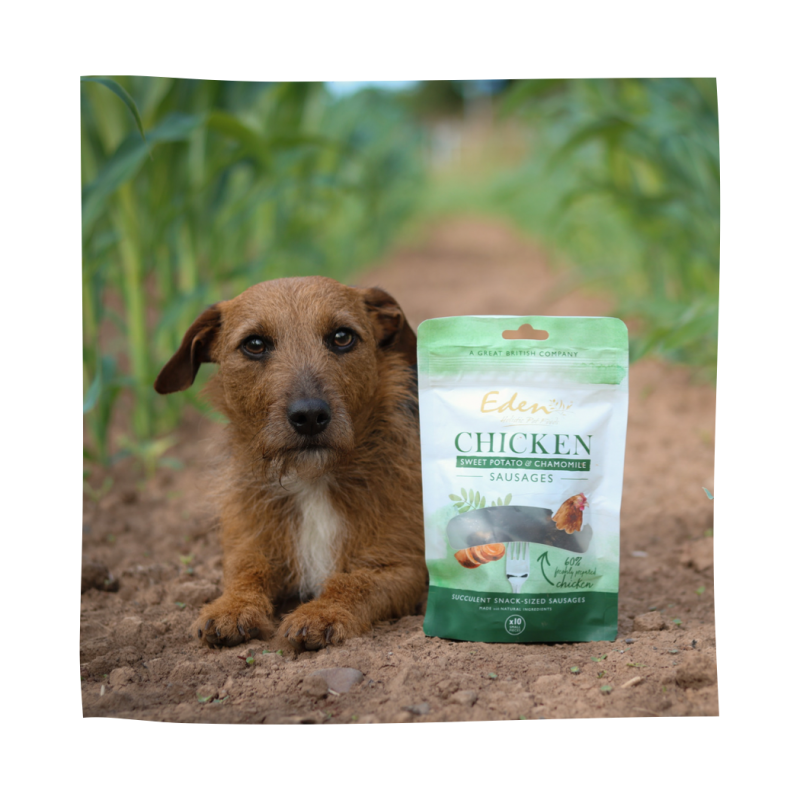 Eden Pet Foods Gourmet Sausages - Chicken -1