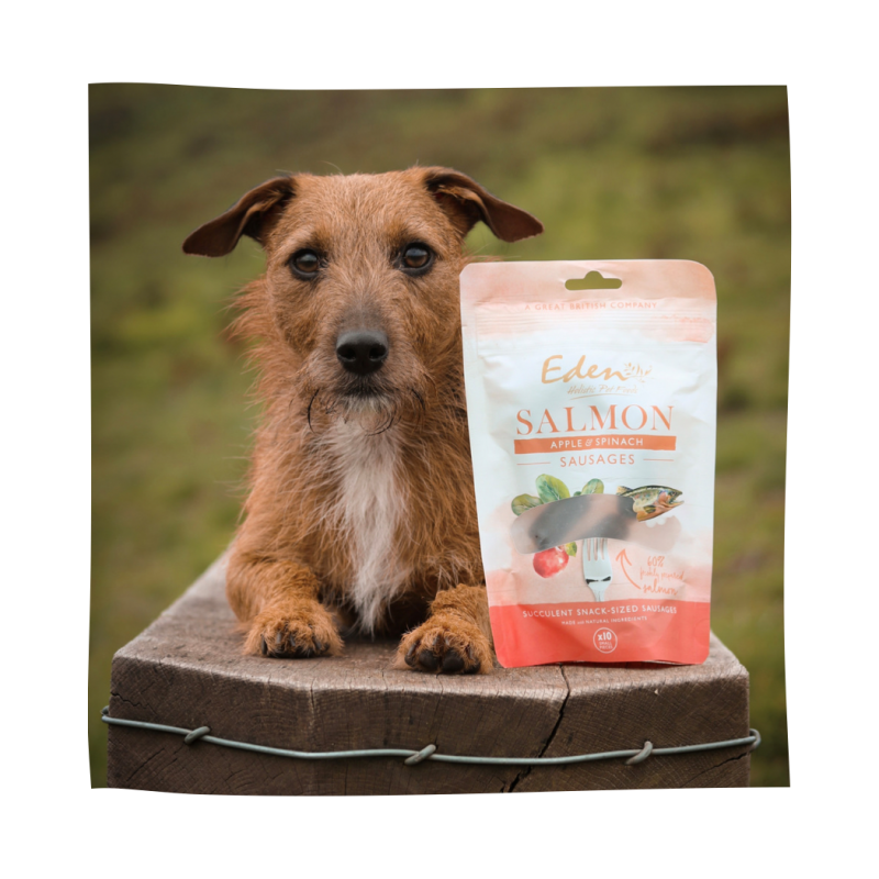 Eden Pet Foods Gourmet Sausages - Salmon-1