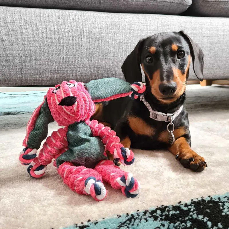 KONG Floppy Knots - Bunny-1