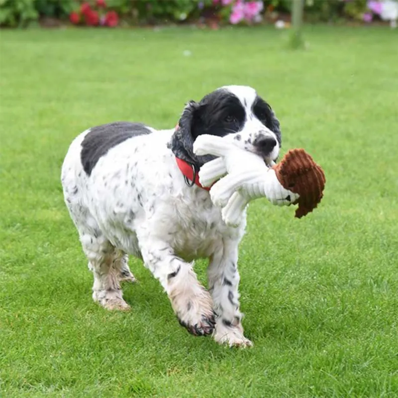 Zoon Mini Play Percy Pug Dog Toy-1