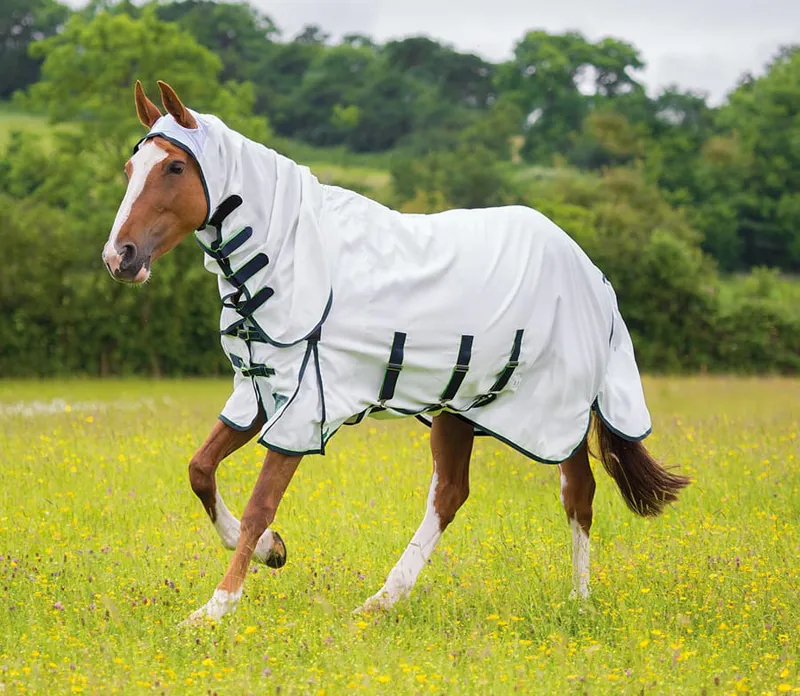Shires Highlander Sweet-Itch Combo Fly Rug