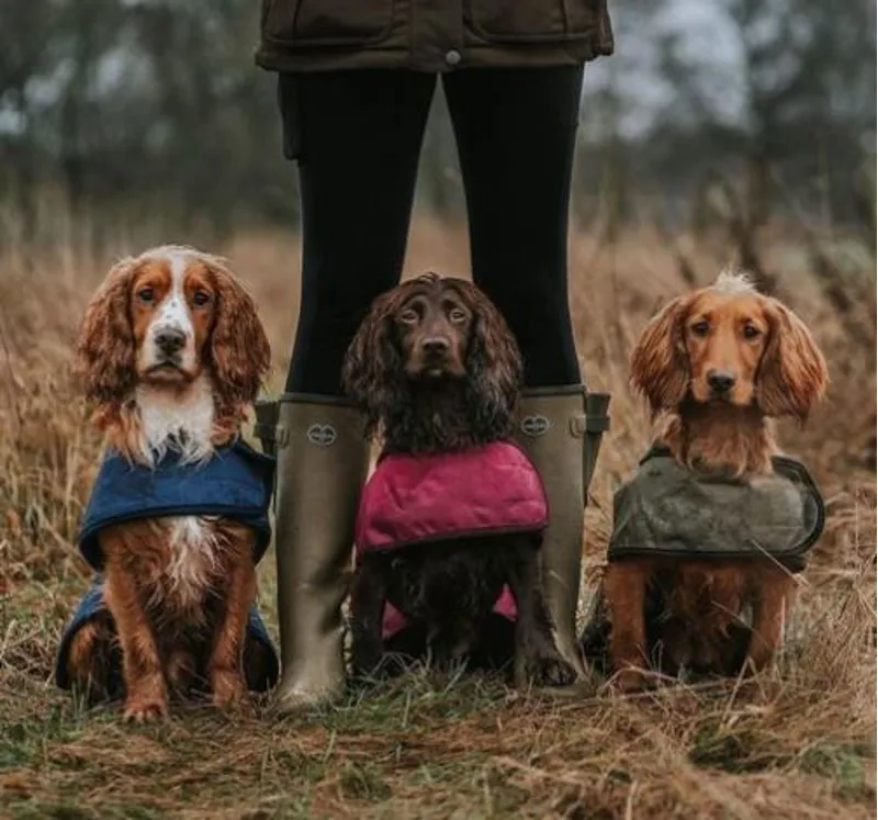 Le Chameau Dog Coat - Bleu Fonce-3