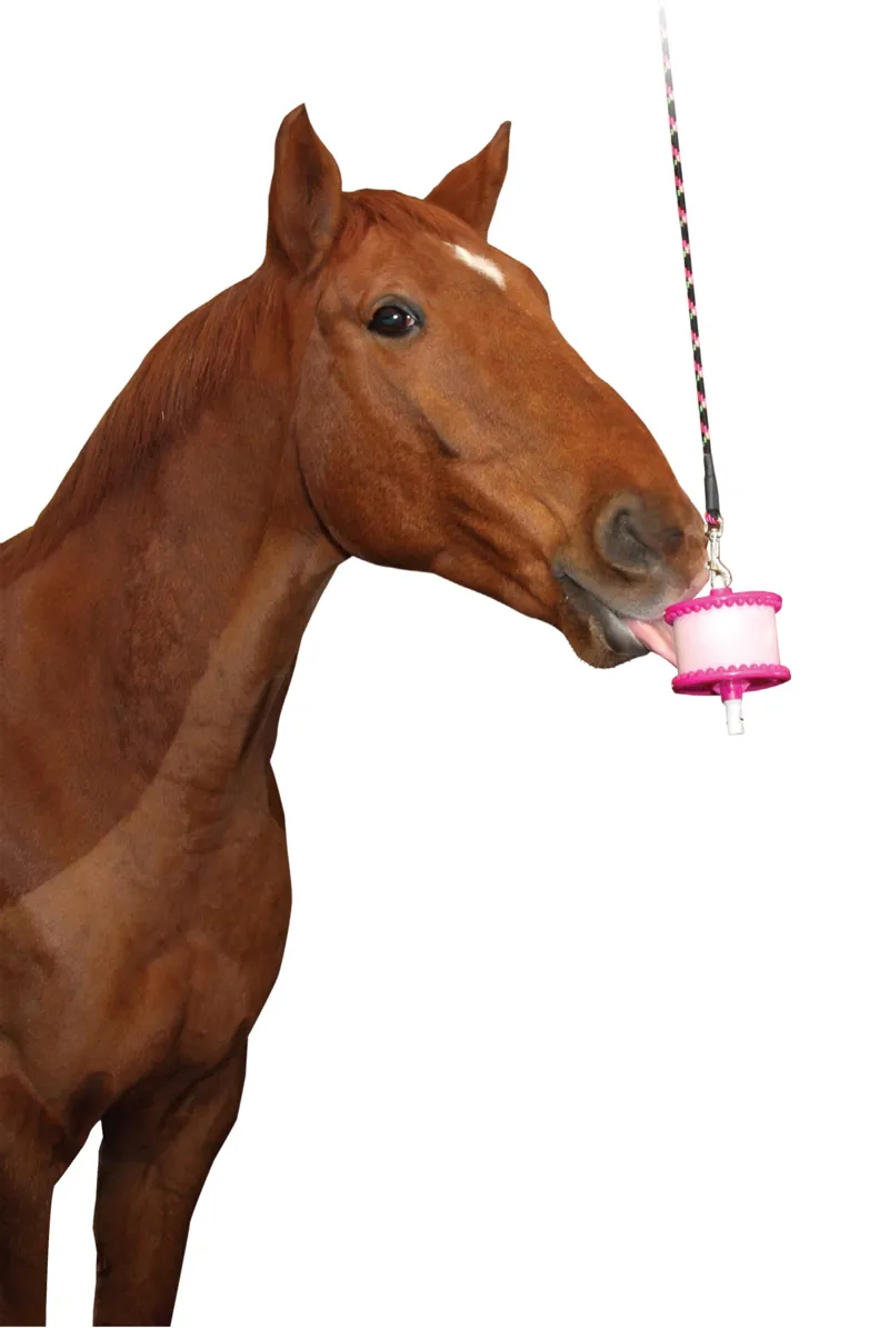 Likit Horse Treat Holder- Clear Glitter-1