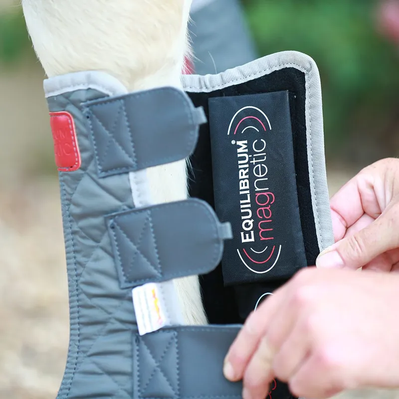 Equilibrium Magnetic Chaps-1