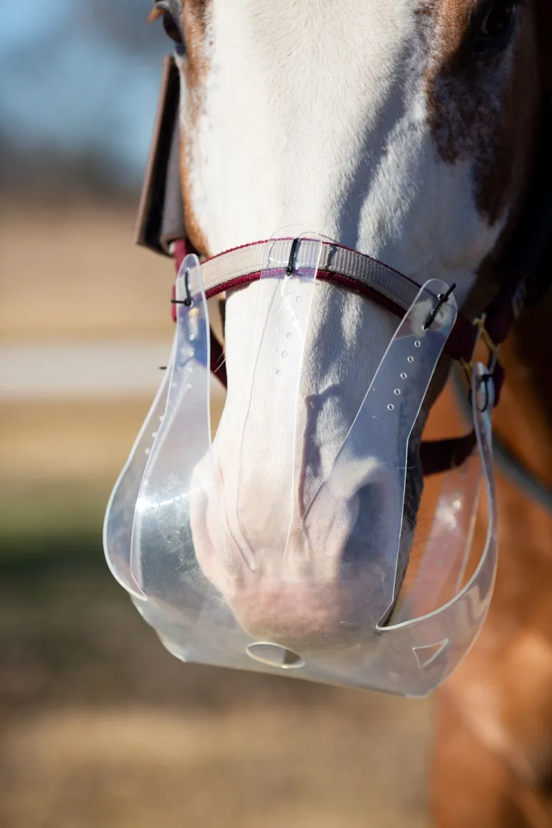 ThinLine Flexible Filly Grazing Muzzle - 3.5cm-3