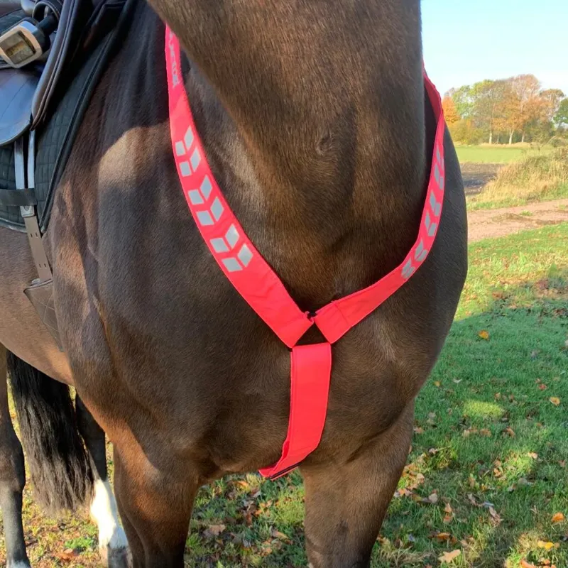 Shires Equi-Flector Breastplate - Pink-1