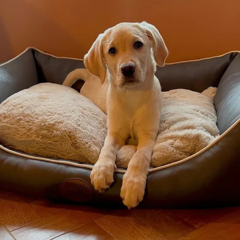 Snug and Cosy Tuscany Rectangle Bed - Slate-2