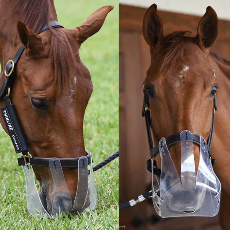 ThinLine Flexible Filly Grazing Muzzle - 3.5cm-1