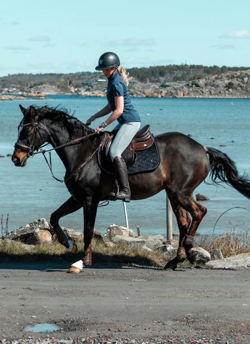 Mountain Horse Ladies Veganza Riding Boot - Brown-2