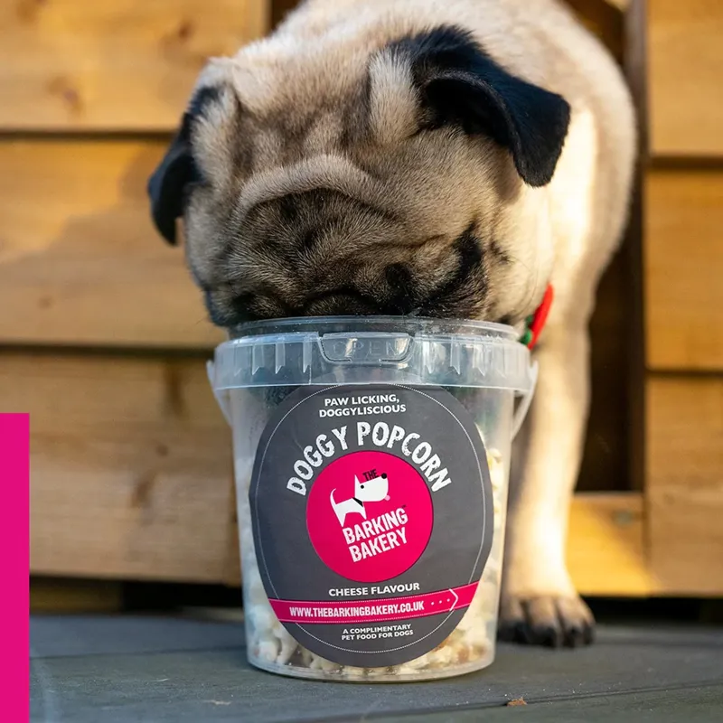 Barking Bakery Doggy Popcorn Cheesey Tubs-1