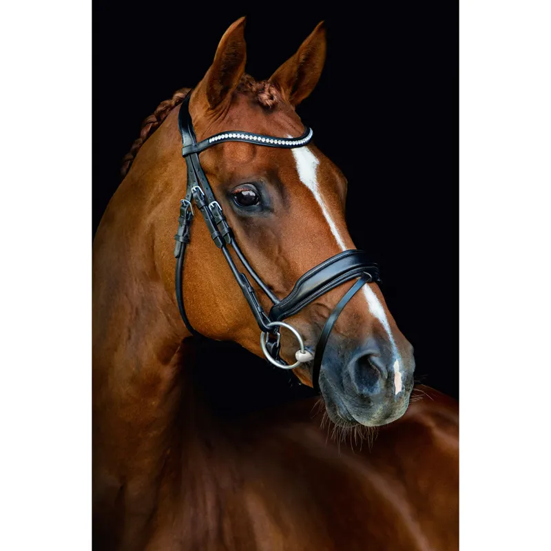 Schockemohle Malibu Flash Bridle - Black-1