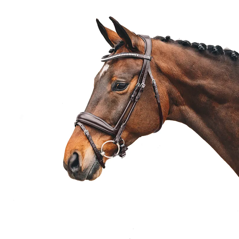 Schockemohle Malibu Flash Bridle - Brown-1