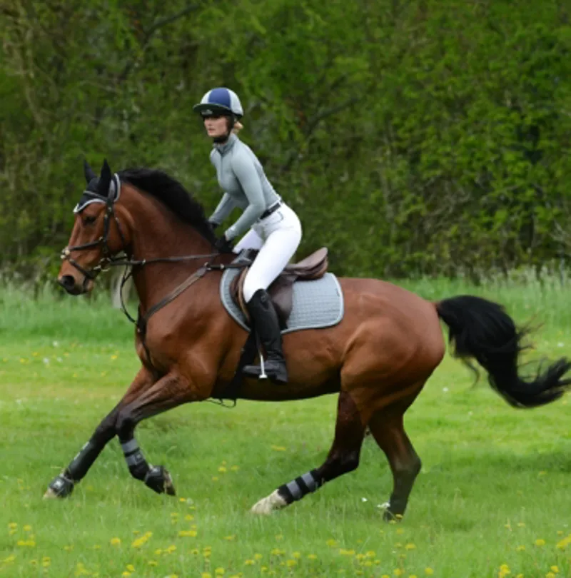 Woof Wear Club Brushing Boots - Grey-2