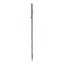 Classic Canes Chestnut Hiking Staff - Stag Motif