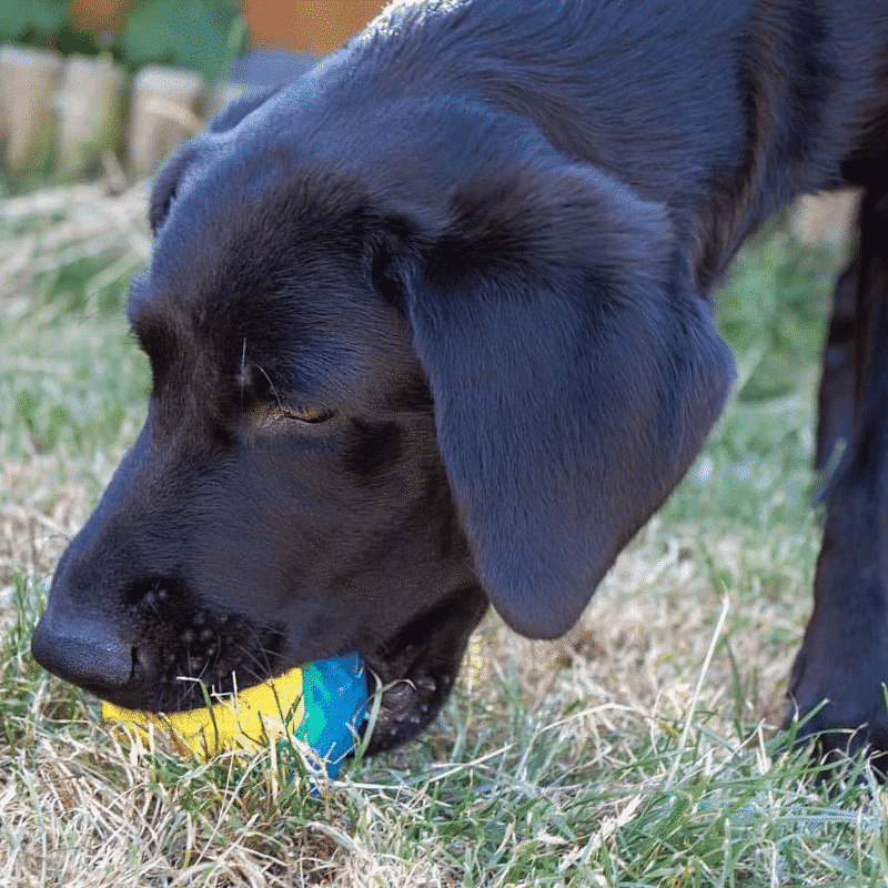 Chillax Cool Soak Ball-2