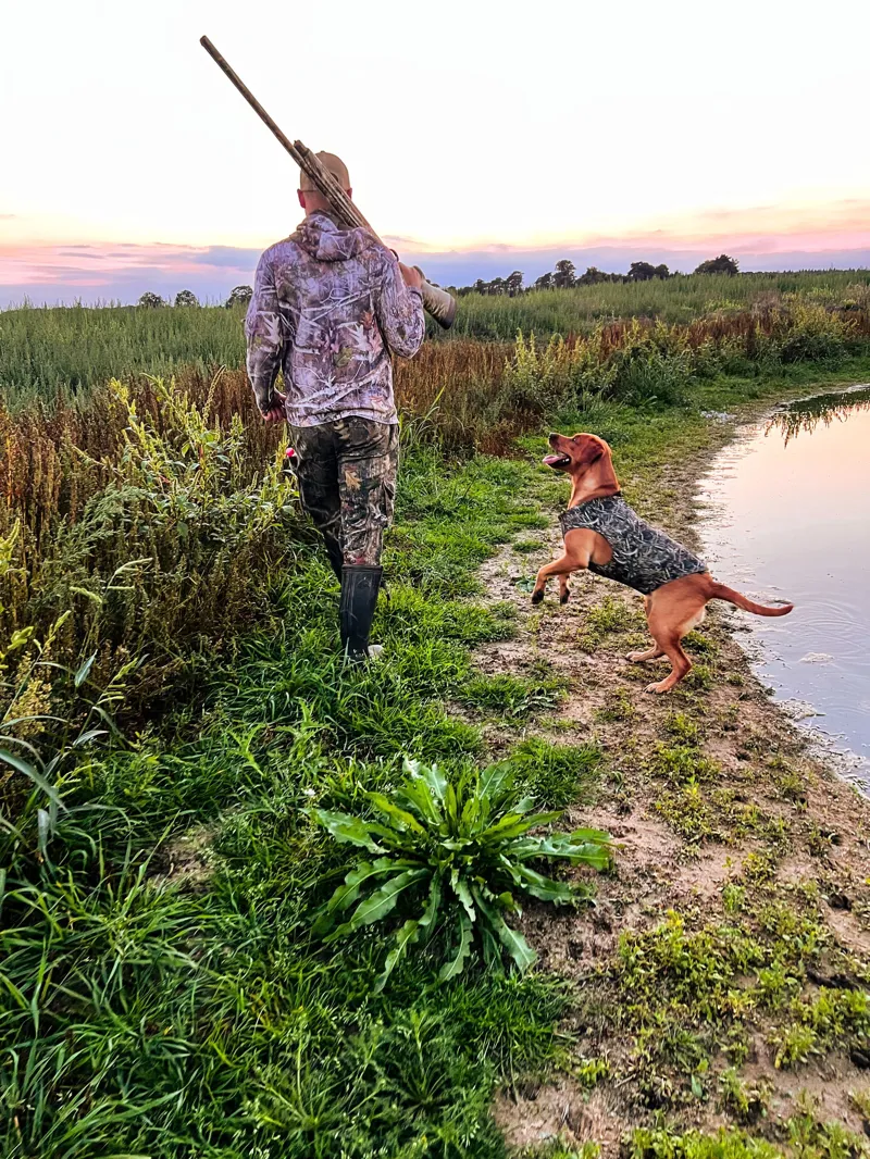 Sporting Saint Neoprene Dog Vest - Khaki-1