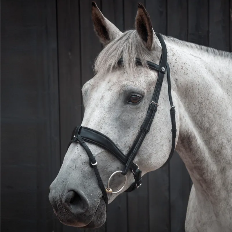 Henry James Saddlery Patent Dressage Bridle - Black-2
