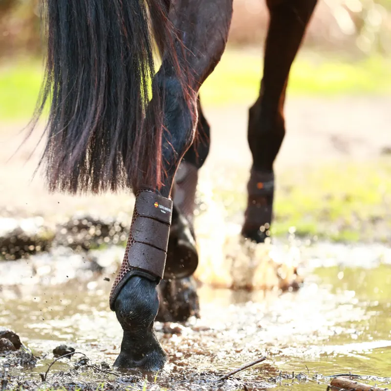 Equilibrium Tri-Zone Brushing Boots - Brown-1
