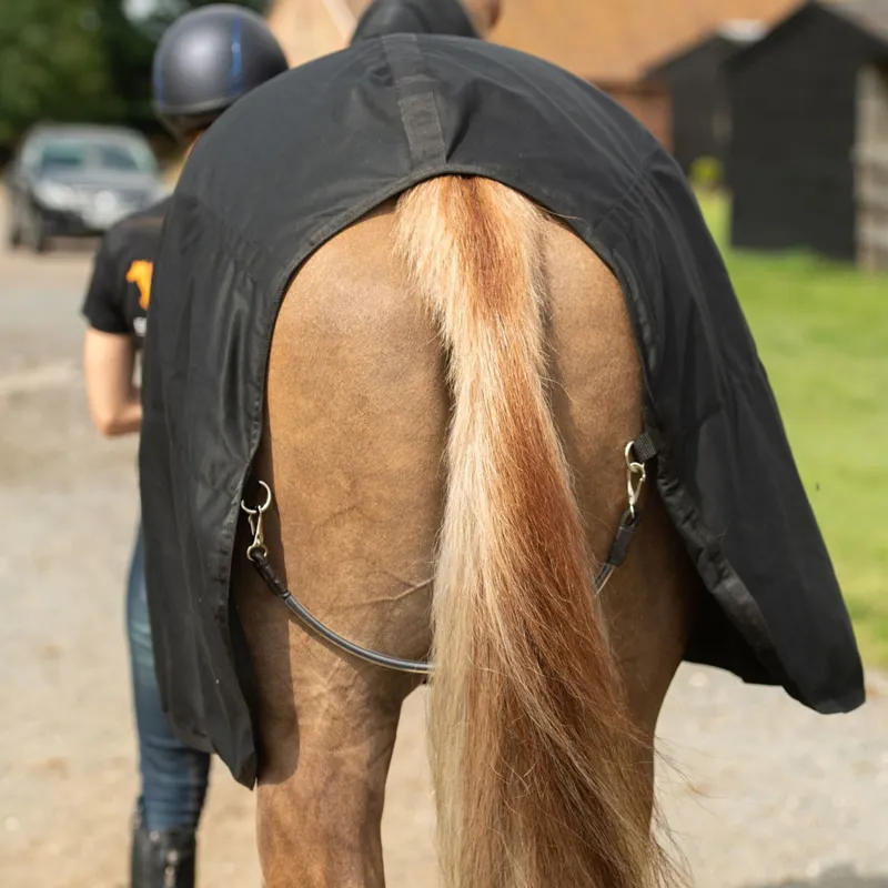 Equilibrium Magnetic Rug - Black/Grey-1