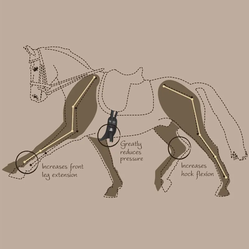 Fairfax Performance Dressage Girth - Brown-2