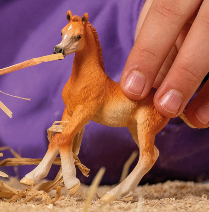 Schleich Arab Foal-1